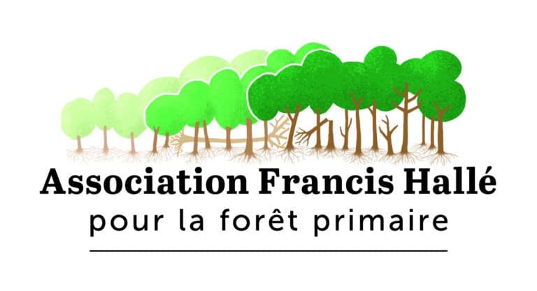 Logo association Francis Hallé